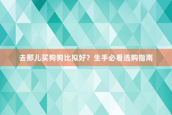 去那儿买狗狗比拟好?生手必看选购指南